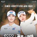 대아골프존 이미지