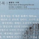 선국사 대북 이미지