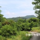학륜당 이미지