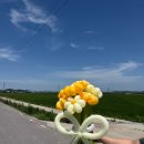 투모로 21 | 생화보다 오래가는 감동! 우리 동네 투모로벌룬에서 만나는 나만의 꽃다발풍선