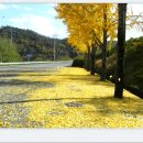 장곡자연휴양림 이미지