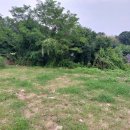 금산농장 2 이미지