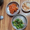 북창원 | [창원 맛집]북면IC 근처 '진가네 촌국수' 방문 후기
