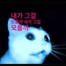 첫 마운자로 1주일차 후기