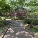 숲 - 전주시 완산구 홍산중앙로 26 | 숲