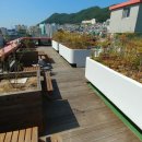 한성방역 이미지