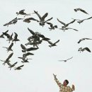 고리회관 이미지