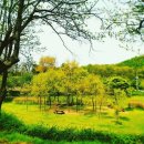 평안한약국 이미지