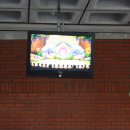 짜잔형의 안전 교육 이미지