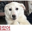 연세태권도 네이버블로그