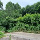 행복나무공인중개사사무소 이미지