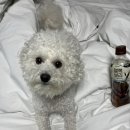 블루12속초오션파크 이미지