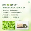 신풍영농조합법인 이미지