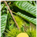 회천2동사무소 이미지