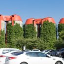 생동목장 | 당진 가볼만한 곳, 사진 찍기 좋은 아그로랜드 태신목장 후기