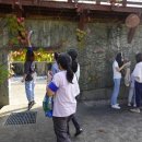 가을환경 이미지