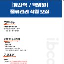 아이비커리어 이미지