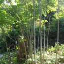 청련암 입구 이미지