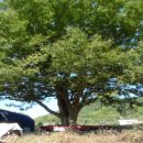 사환2길 이미지