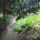 두동편백마을 이미지