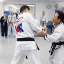 백호합기도 이미지