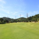 신안골프 이미지