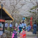 씨유동두천지행중앙점 | 경기도 아이와 주말갈만한곳 동두천 니지모리스튜디오 기모노입고 벚꽃 본 후기