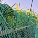 치상농장 이미지