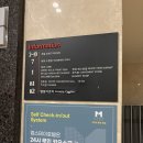 제주엠 | 제주 서귀포 가성비 숙소 추천 제주 호텔더엠 솔직 후기