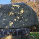 철새탐조대 이미지