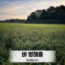 이삭농약사 | 벼 병해충 관리 및 농약 사용법
