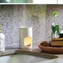 플랜테리어 홈가드닝 이미지