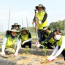 당동2리 이미지