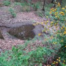 일장천약수터 이미지