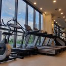 팀바디매스 이미지