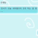 홍보석주