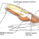 솜인필라테스스튜디오