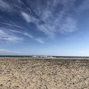 옥계해수욕장(숲) 이미지