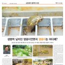 맹꽁이연구소 이미지