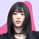 미모고양이 이미지