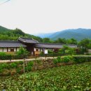 곡선재