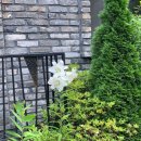 옥길유치원2 이미지