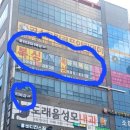 용인대SH복싱 이미지