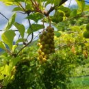 이순석농장 이미지