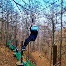 좌구산휴양랜드 이미지