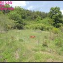 달성군구지면징리보건진료소 | ♠구지면 토지(전)경매(2018타경31641) °달성군 토지(전)경매§대구 달성군 구지면 징리