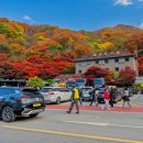 세라톤모텔 이미지