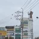 한솔컴퓨터학원