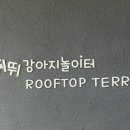 뛰뛰 강아지 놀이터 이미지