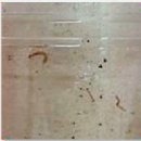 수도크리닝 이미지